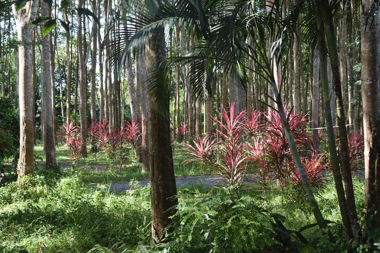 Manora Garden Ξενοδοχείο Phang Nga Εξωτερικό φωτογραφία
